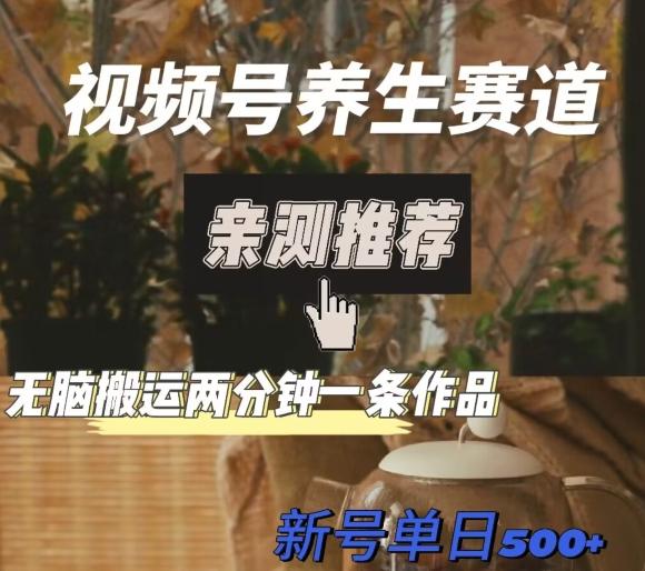 视频号养生赛道暴力掘金，无脑搬运，两分钟一条作品-新日单入500+-小艾项目网