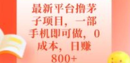 最新平台撸茅子项目，一部手机即可做，0成本，日赚800+-小艾项目网