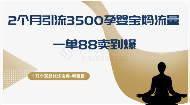 十万个富翁修炼宝典之13.2个月引流3500孕婴宝妈流量，一单88卖到爆-小艾项目网