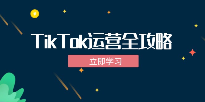 TikTok实战运营全攻略：从下载软件到变现，抖音海外版实操教程-小艾项目网