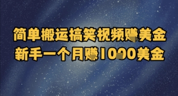 简单搬运搞笑视频挣美金，新手一个月入1k美金-小艾项目网