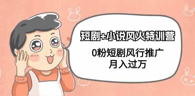 小说+短剧风火特训营，0粉短剧小说风行推广，实现月入过万-小艾项目网